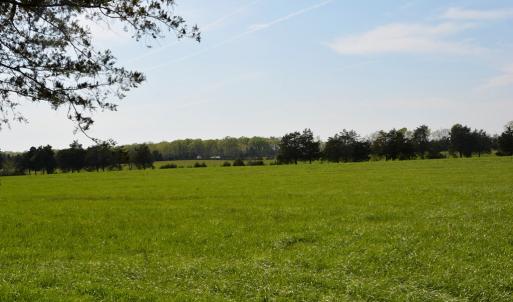 Photo #10 of Cedar Lane, Farmville, VA 103.7 acres