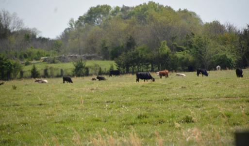 Photo #3 of Cedar Lane, Farmville, VA 103.7 acres