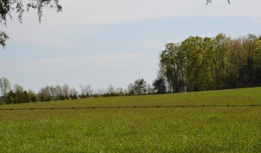 Photo #4 of Cedar Lane, Farmville, VA 103.7 acres