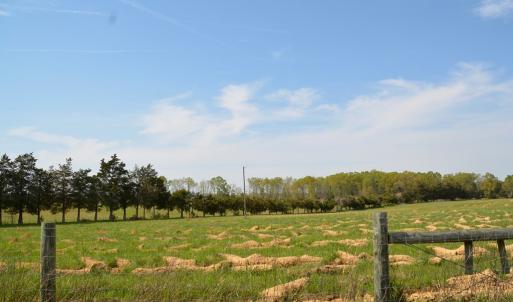 Photo #8 of Cedar Lane, Farmville, VA 103.7 acres