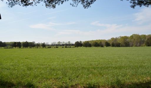 Photo #9 of Cedar Lane, Farmville, VA 103.7 acres