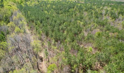 Photo #12 of Mountain Hall Rd, Crewe, VA 43.0 acres