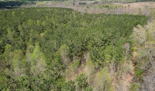 Photo #13 of Mountain Hall Rd, Crewe, VA 43.0 acres