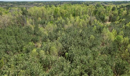 Photo #14 of Mountain Hall Rd, Crewe, VA 43.0 acres