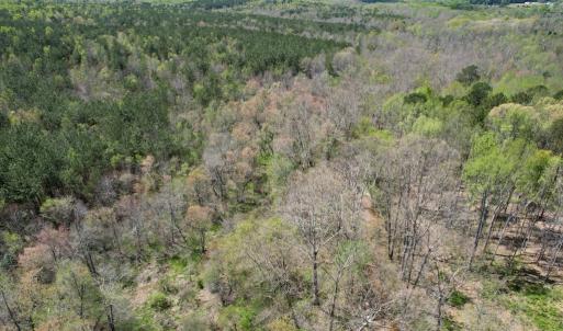 Photo #15 of Mountain Hall Rd, Crewe, VA 43.0 acres