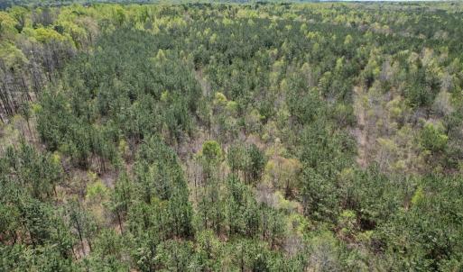 Photo #16 of Mountain Hall Rd, Crewe, VA 43.0 acres