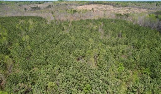 Photo #17 of Mountain Hall Rd, Crewe, VA 43.0 acres