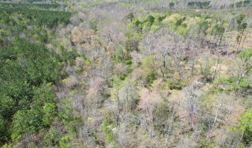 Photo #18 of Mountain Hall Rd, Crewe, VA 43.0 acres