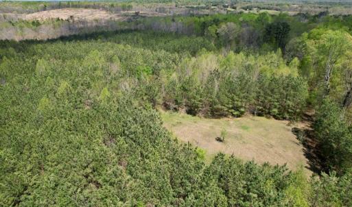 Photo #19 of Mountain Hall Rd, Crewe, VA 43.0 acres