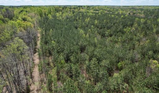 Photo #20 of Mountain Hall Rd, Crewe, VA 43.0 acres