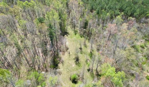 Photo #21 of Mountain Hall Rd, Crewe, VA 43.0 acres