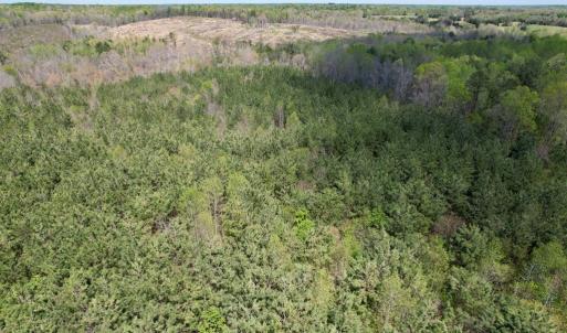 Photo #22 of Mountain Hall Rd, Crewe, VA 43.0 acres