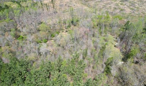 Photo #23 of Mountain Hall Rd, Crewe, VA 43.0 acres