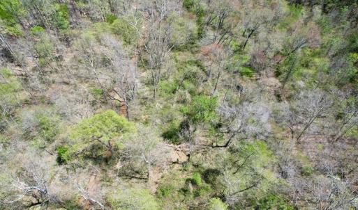 Photo #24 of Mountain Hall Rd, Crewe, VA 43.0 acres