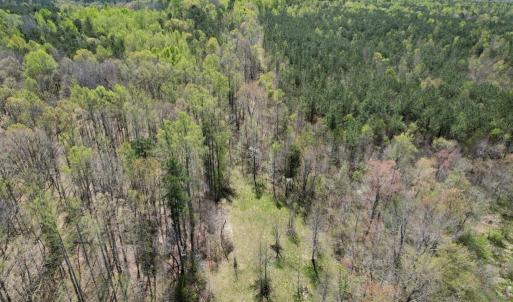 Photo #25 of Mountain Hall Rd, Crewe, VA 43.0 acres
