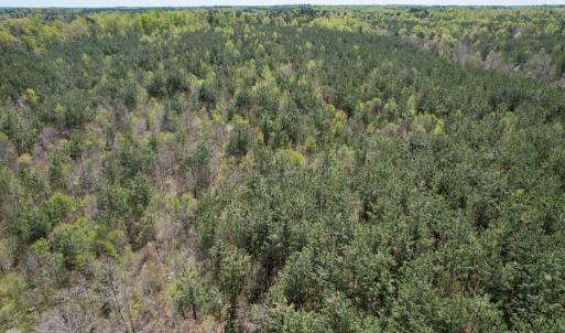 Photo #26 of Mountain Hall Rd, Crewe, VA 43.0 acres