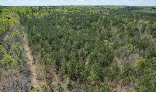 Photo #27 of Mountain Hall Rd, Crewe, VA 43.0 acres