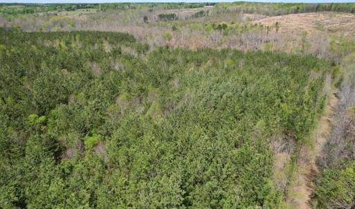 Photo #28 of Mountain Hall Rd, Crewe, VA 43.0 acres