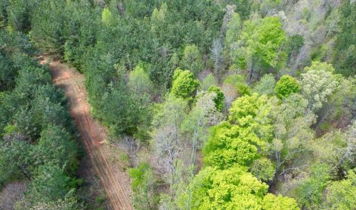 Photo #29 of Mountain Hall Rd, Crewe, VA 43.0 acres