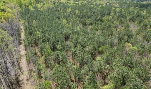 Photo #30 of Mountain Hall Rd, Crewe, VA 43.0 acres