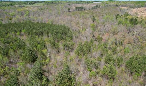 Photo #31 of Mountain Hall Rd, Crewe, VA 43.0 acres