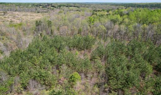 Photo #32 of Mountain Hall Rd, Crewe, VA 43.0 acres