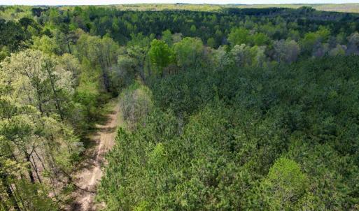 Photo #33 of Mountain Hall Rd, Crewe, VA 43.0 acres