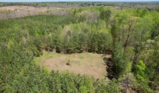 Photo #34 of Mountain Hall Rd, Crewe, VA 43.0 acres