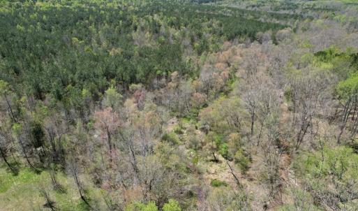 Photo #35 of Mountain Hall Rd, Crewe, VA 43.0 acres