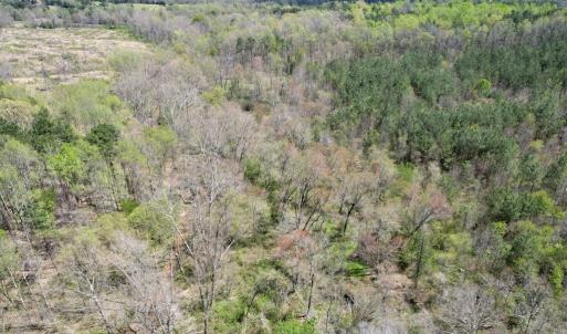 Photo #36 of Mountain Hall Rd, Crewe, VA 43.0 acres