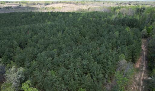 Photo #37 of Mountain Hall Rd, Crewe, VA 43.0 acres