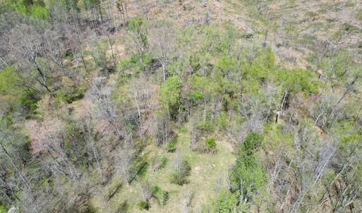 Photo #38 of Mountain Hall Rd, Crewe, VA 43.0 acres