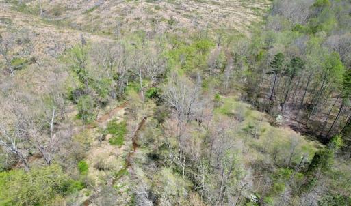 Photo #39 of Mountain Hall Rd, Crewe, VA 43.0 acres
