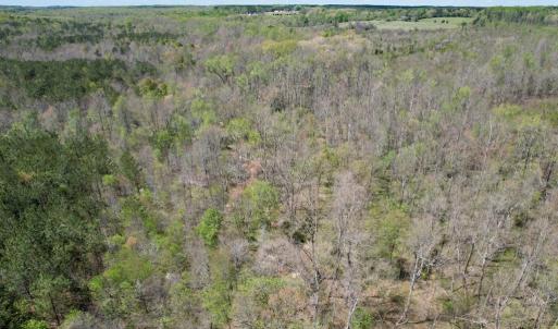 Photo #40 of Mountain Hall Rd, Crewe, VA 43.0 acres
