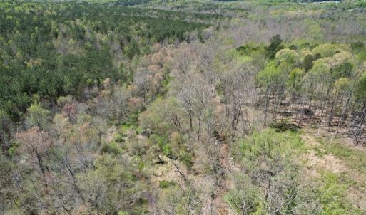 Photo #41 of Mountain Hall Rd, Crewe, VA 43.0 acres