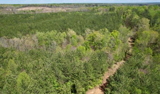 Photo #42 of Mountain Hall Rd, Crewe, VA 43.0 acres