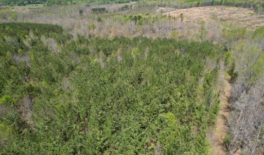 Photo #43 of Mountain Hall Rd, Crewe, VA 43.0 acres