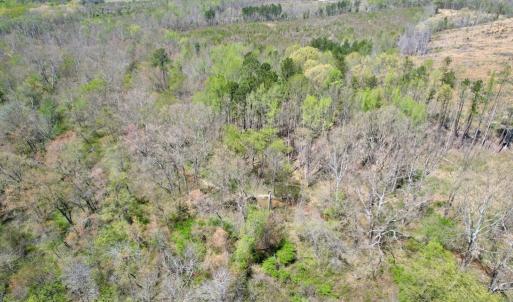 Photo #44 of Mountain Hall Rd, Crewe, VA 43.0 acres