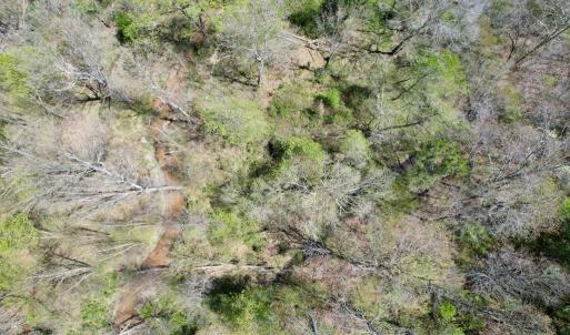 Photo #45 of Mountain Hall Rd, Crewe, VA 43.0 acres