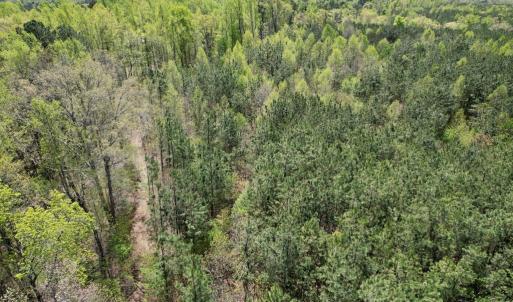 Photo #46 of Mountain Hall Rd, Crewe, VA 43.0 acres