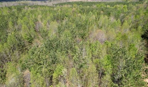 Photo #47 of Mountain Hall Rd, Crewe, VA 43.0 acres