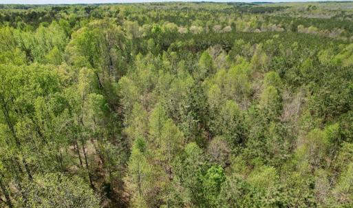 Photo #48 of Mountain Hall Rd, Crewe, VA 43.0 acres