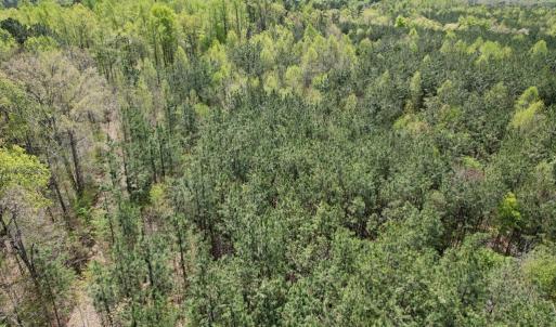 Photo #49 of Mountain Hall Rd, Crewe, VA 43.0 acres