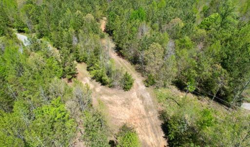Photo #6 of Mountain Hall Rd, Crewe, VA 43.0 acres