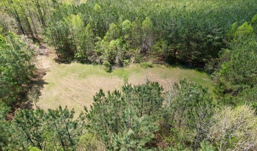 Photo #8 of Mountain Hall Rd, Crewe, VA 43.0 acres
