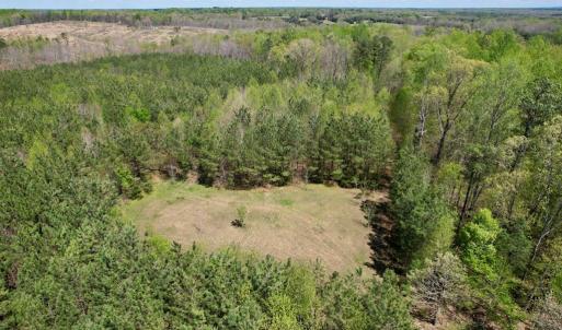 Photo #9 of Mountain Hall Rd, Crewe, VA 43.0 acres