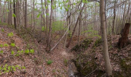 Photo #11 of Poorhouse Road, Rice, VA 56.7 acres