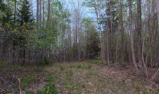 Trail Cut In
