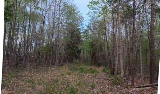 Trail View 2