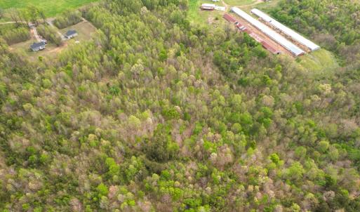 Photo #20 of Poorhouse Road, Rice, VA 56.7 acres